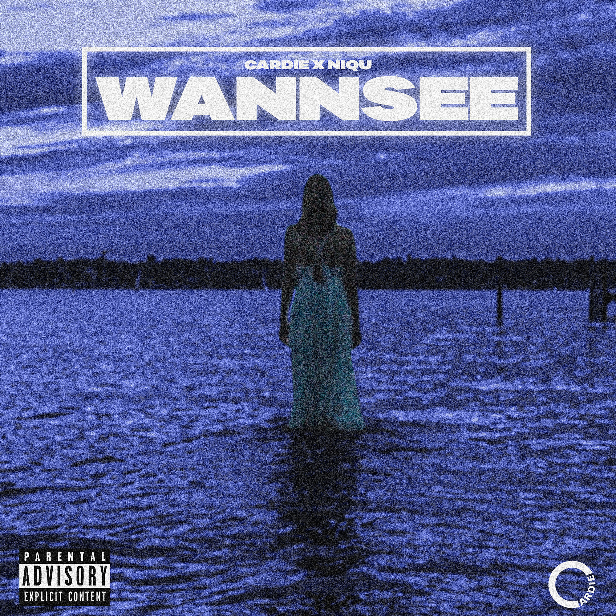 Wannsee Cover